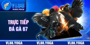 trực tiếp đá gà 67