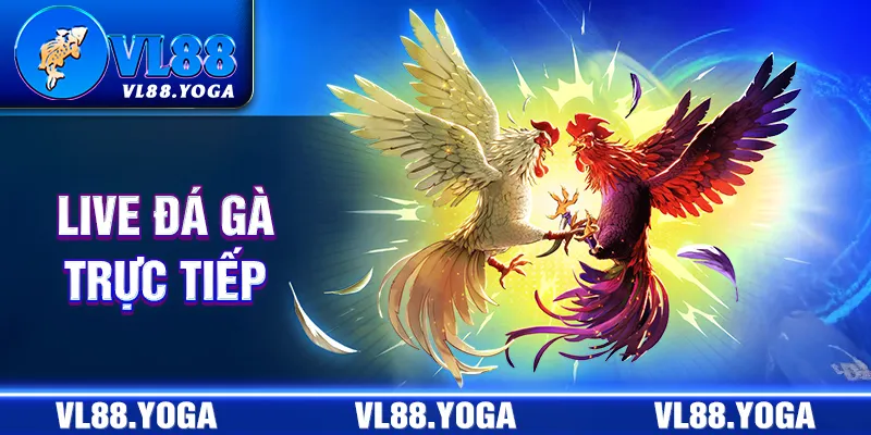 live đá gà trực tiếp