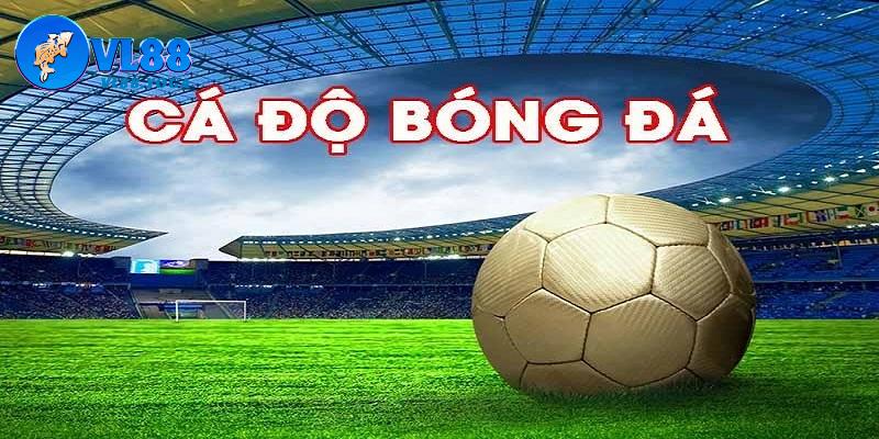 Lưu ý cần có khi đặt chân đến trang cá cược bóng đá