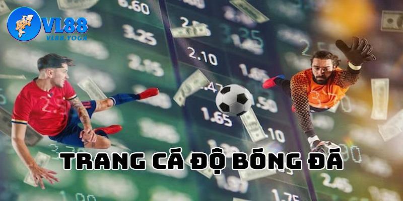 Lý do khiến VL88 là trang cá cược bóng đá hàng đầu Lý do khiến VL88 là trang cá cược bóng đá hàng đầu